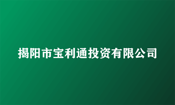 揭阳市宝利通投资有限公司