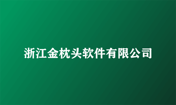 浙江金枕头软件有限公司